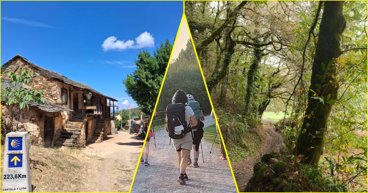Camino de Santiago